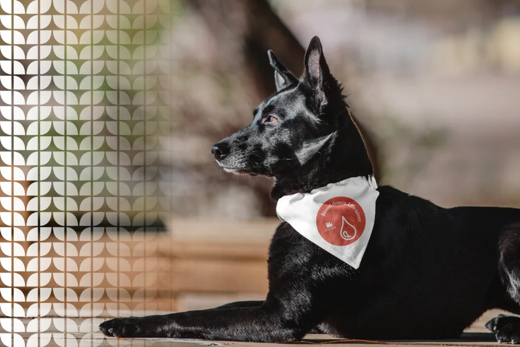 Gepersonaliseerde bandana voor honden om bloed te doneren