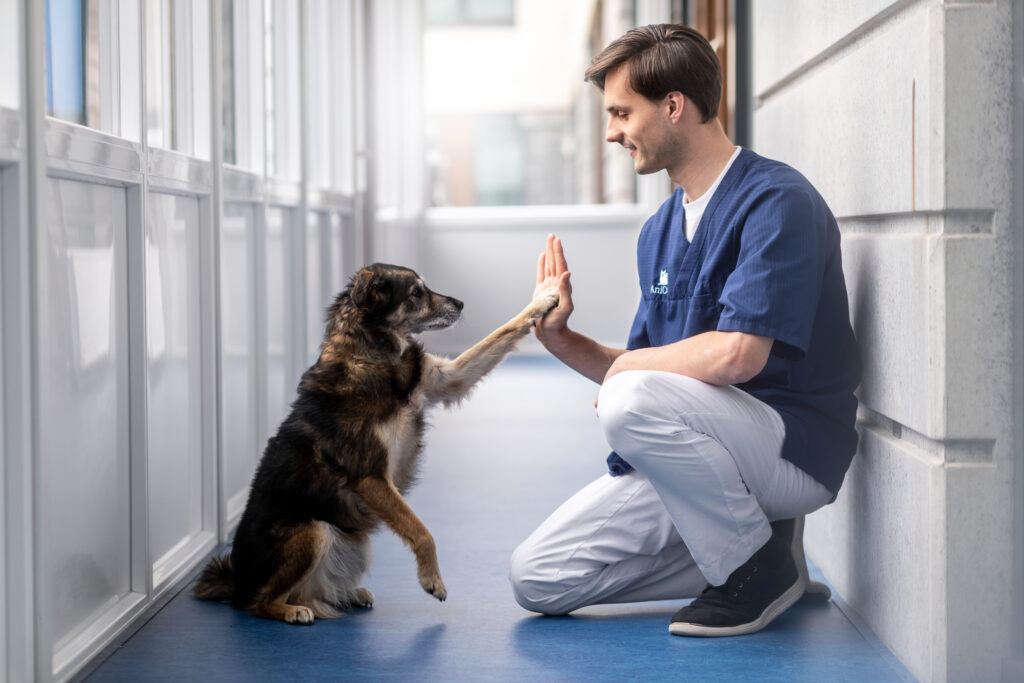 Dog and a male nurse doing a high five in a corridor