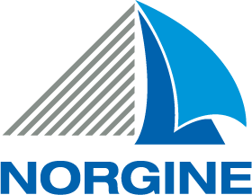 Norgine logo